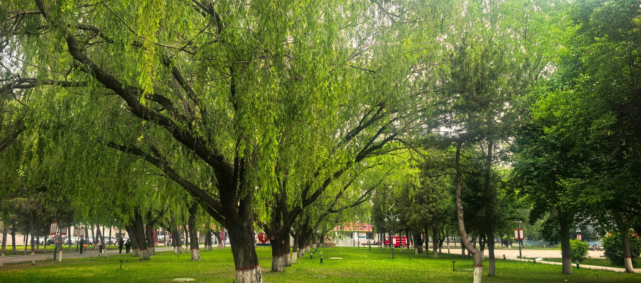 校園風景