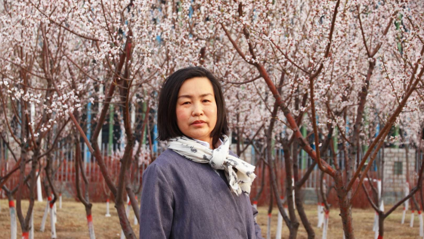 德力格爾瑪 教授