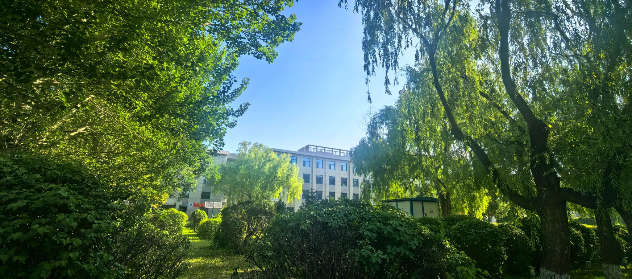 校園風景